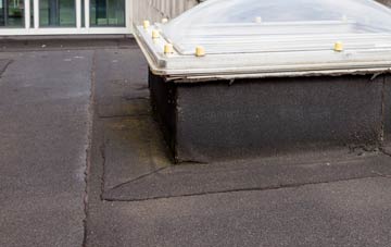 disadvantages of Cardrona Village flat roofs